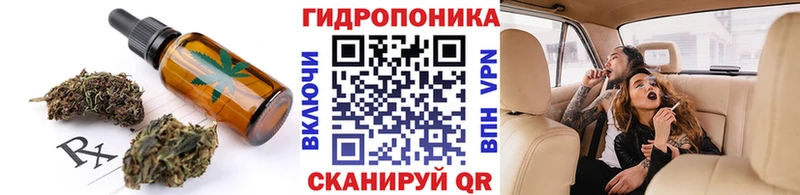 где найти   Кизилюрт  Canna-Cookies марихуана 