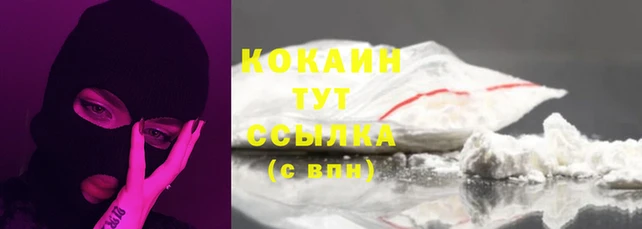 PSILOCYBIN Инта