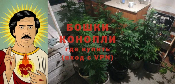 PSILOCYBIN Инта