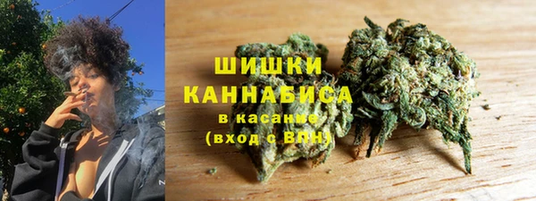 гидра Корсаков