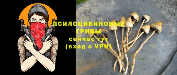 спиды Заводоуковск