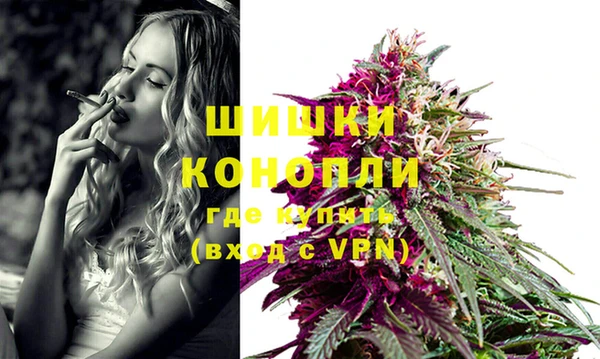 PSILOCYBIN Инта
