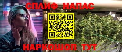 шишки Дубна
