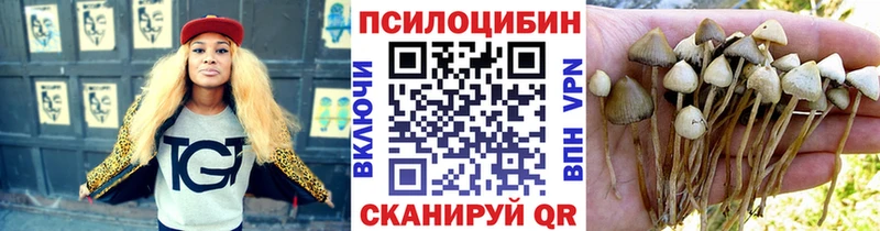 цены   Кизилюрт  Псилоцибиновые грибы мухоморы 