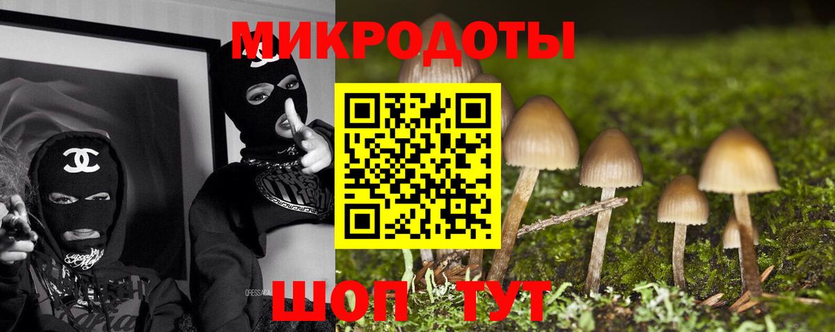 Галлюциногенные грибы Psilocybine cubensis Кизилюрт