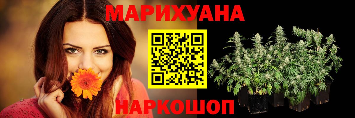 Каннабис Amnesia Кизилюрт